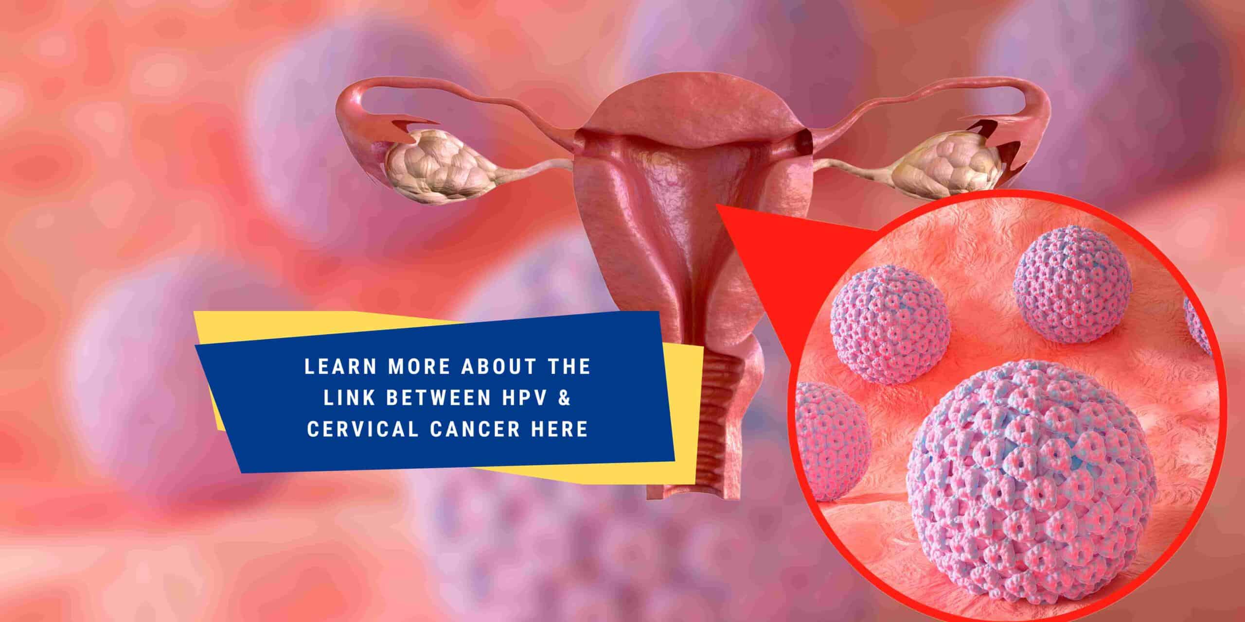 human-papillomavirus-hpv-and-its-link-to-cervical-cancer