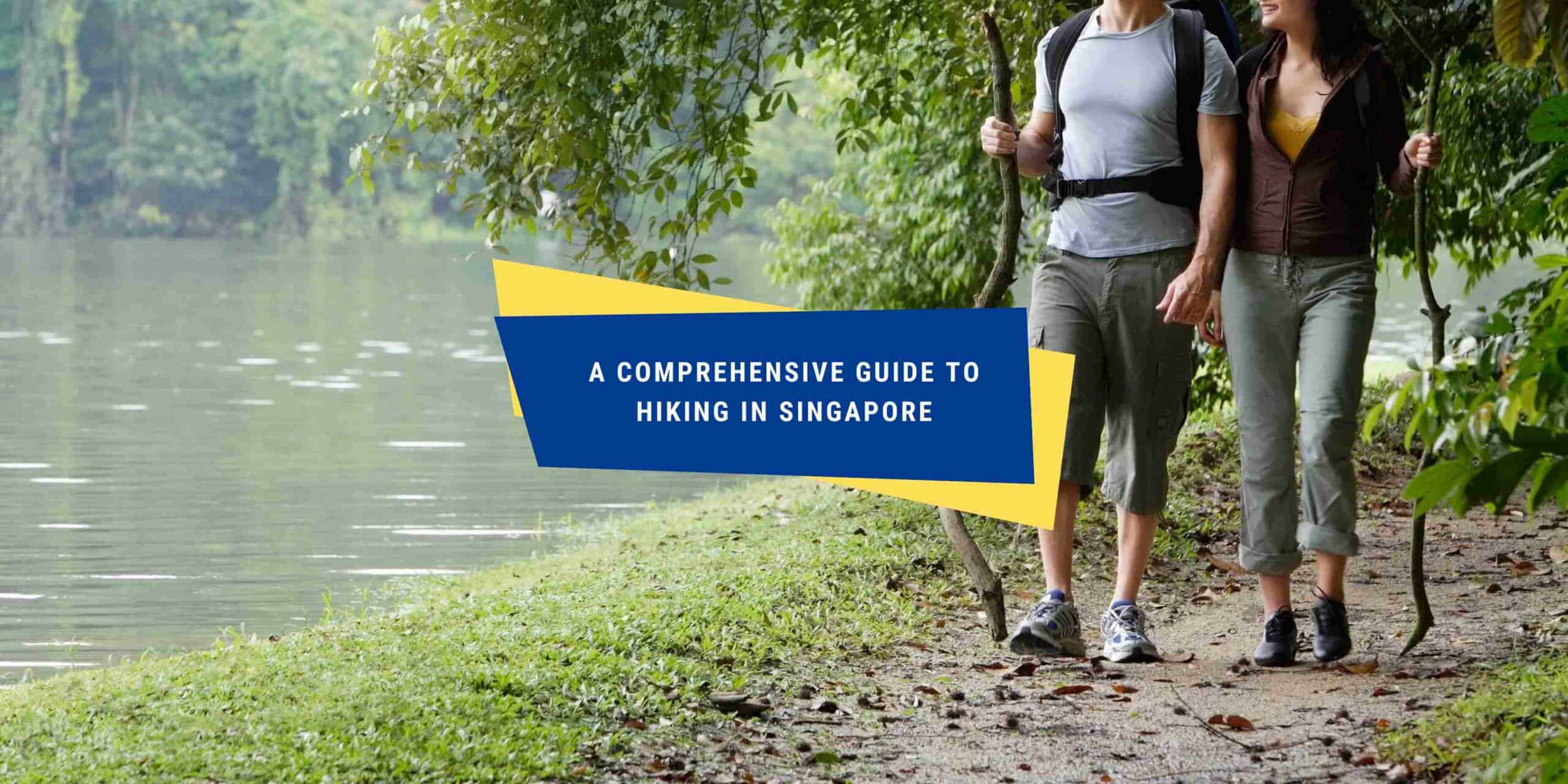 A Comprehensive Guide to Hiking in Singapore